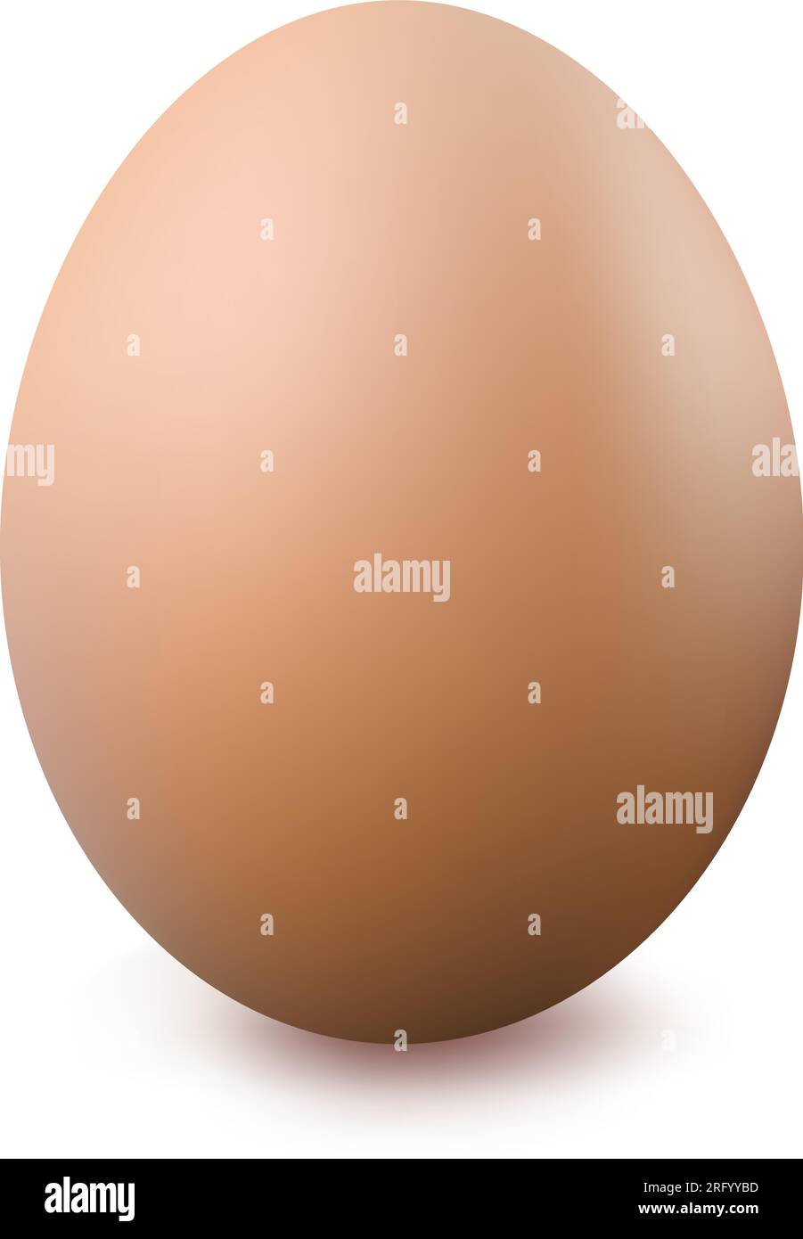 Gros plan de l'œuf, isolé sur fond blanc, illustration vectorielle Illustration de Vecteur