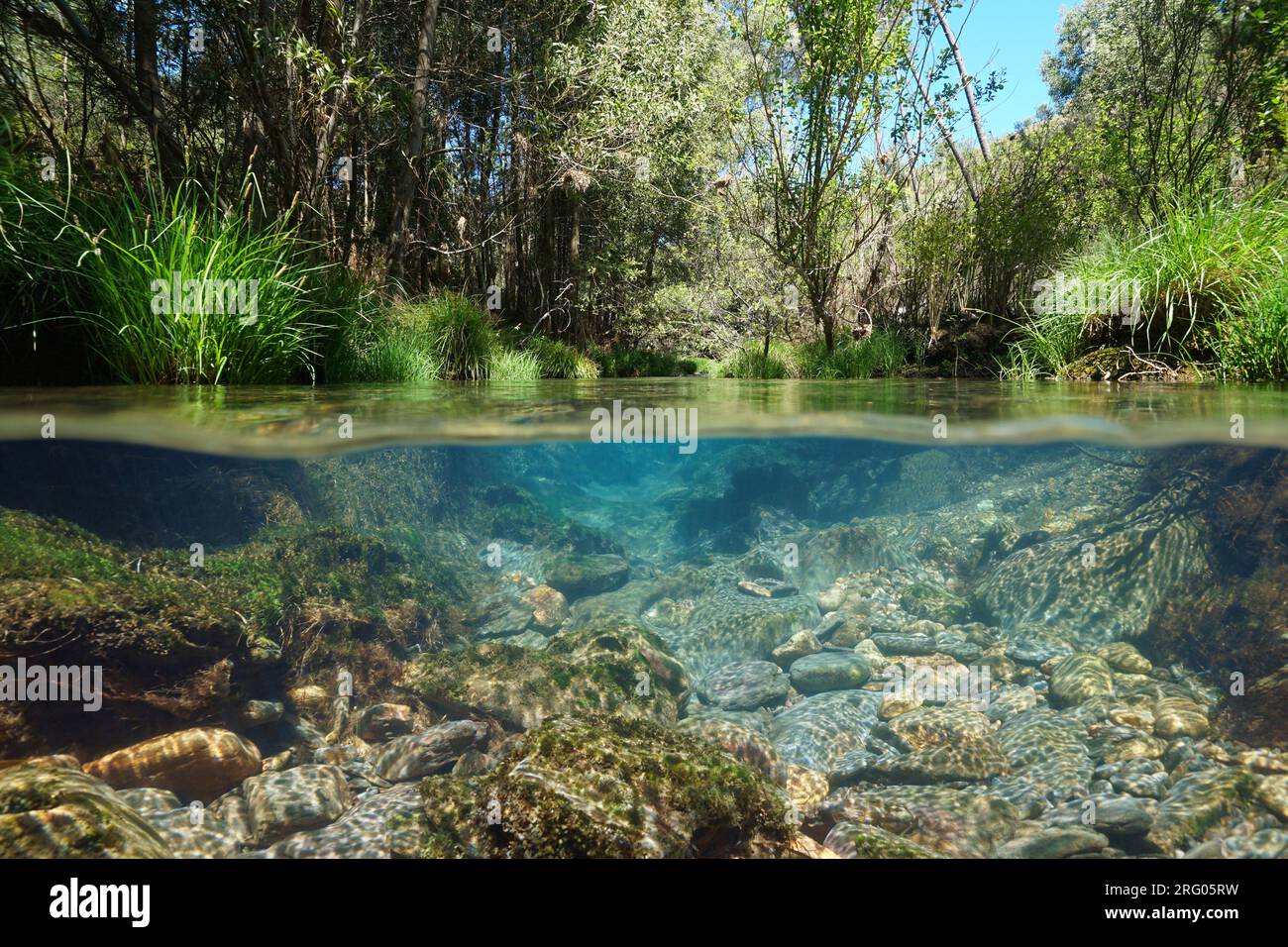Rivière sauvage à l'eau claire, scène naturelle, vue partagée sur et sous la surface de l'eau, Espagne, Galice, province de Pontevedra Banque D'Images