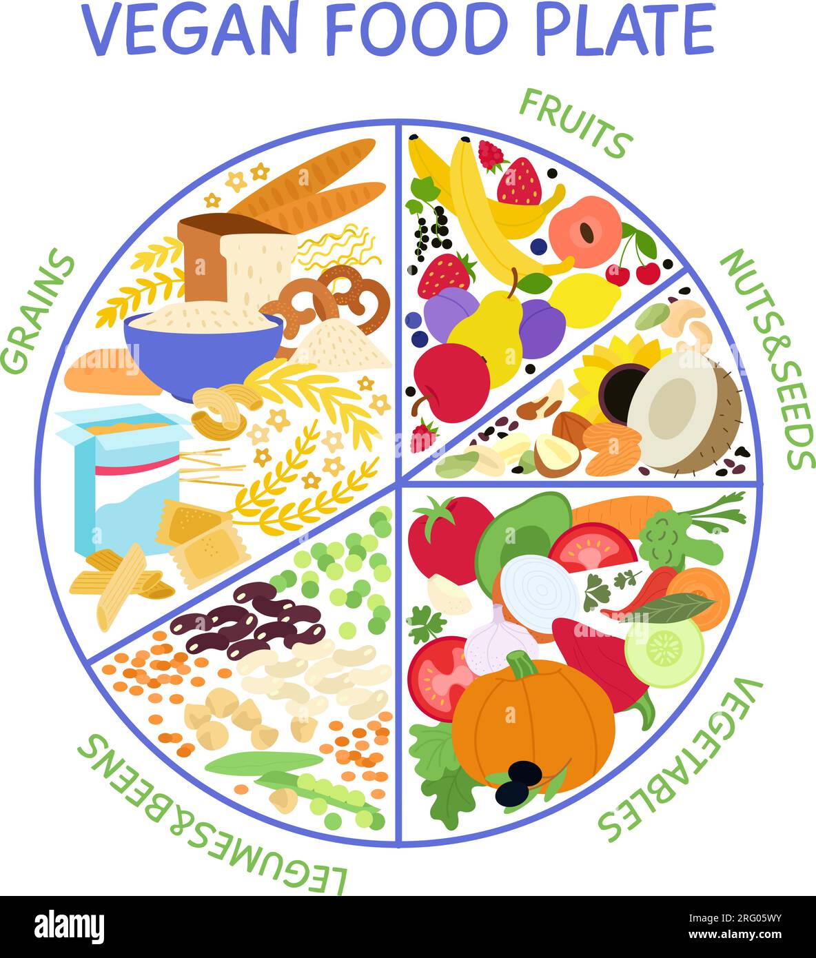 Assiette de nourriture végétalienne. Infographie végétarienne pour une alimentation saine, un équilibre en vitamines et minéraux. Affiche d'information vectorielle décente de graines, légumes et céréales Illustration de Vecteur