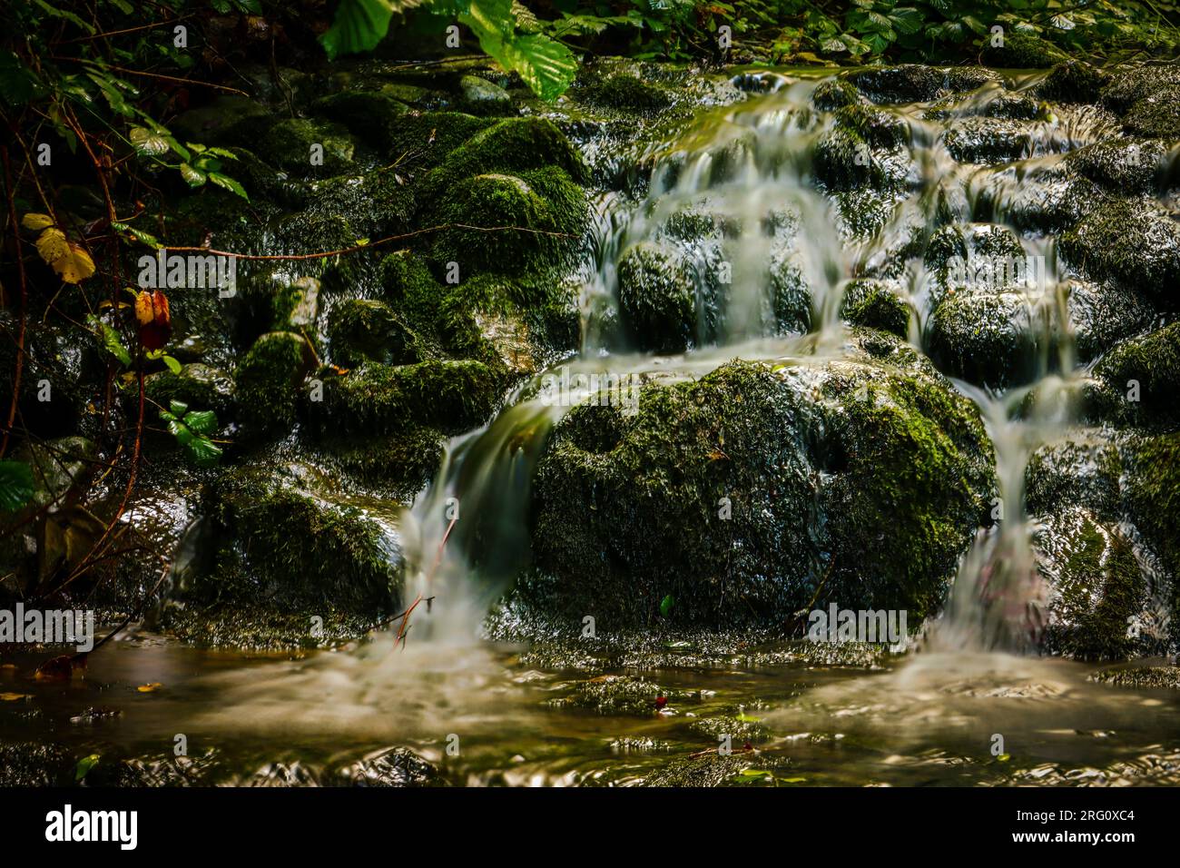 petite cascade avec rochers en longue exposition Banque D'Images