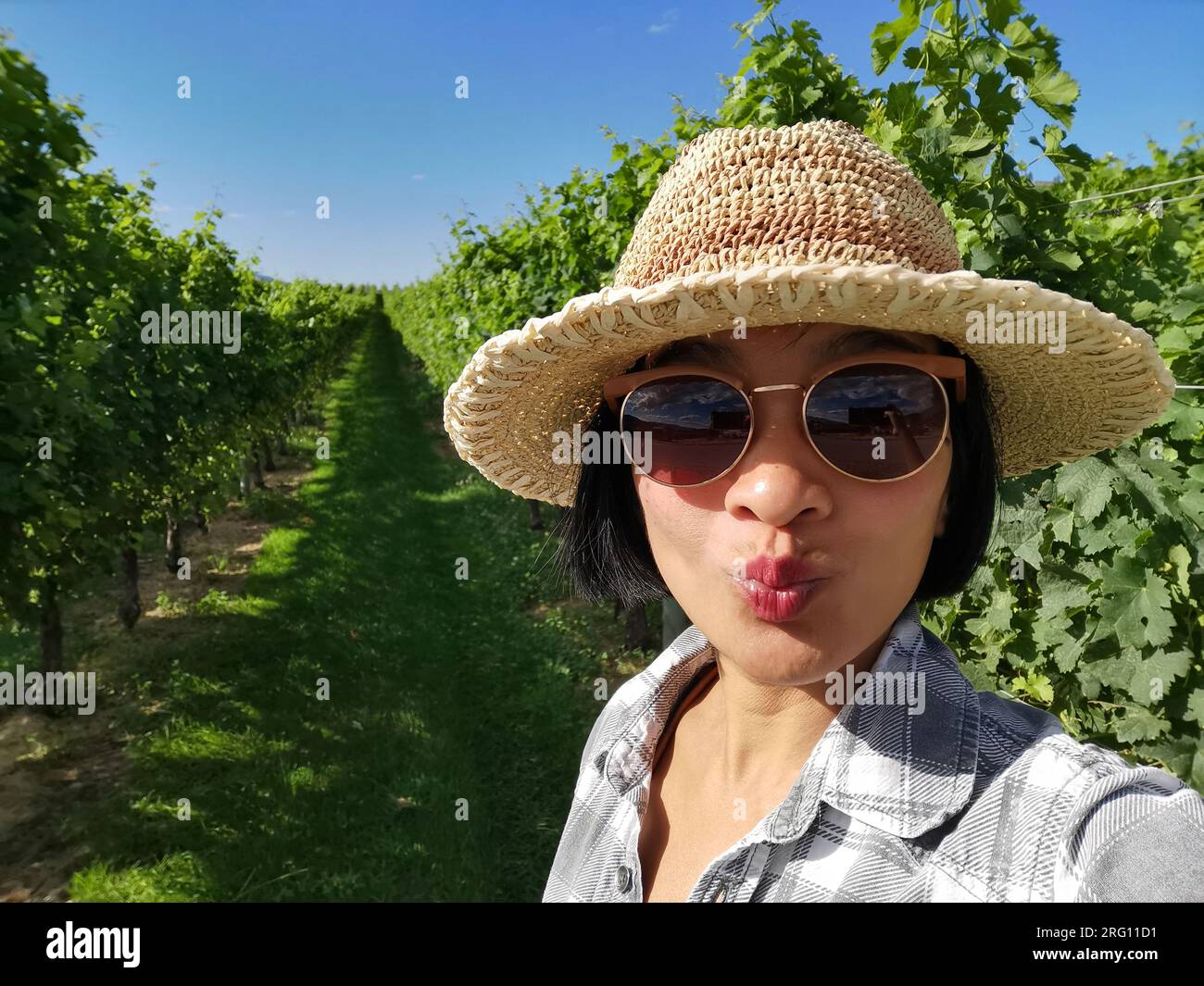 Jeune touriste prenant un selfie dans des vignobles de raisin biologique, vallée de l'Okanagan, Colombie-Britannique. Concept de voyage en plein air d'été au Canada. Banque D'Images
