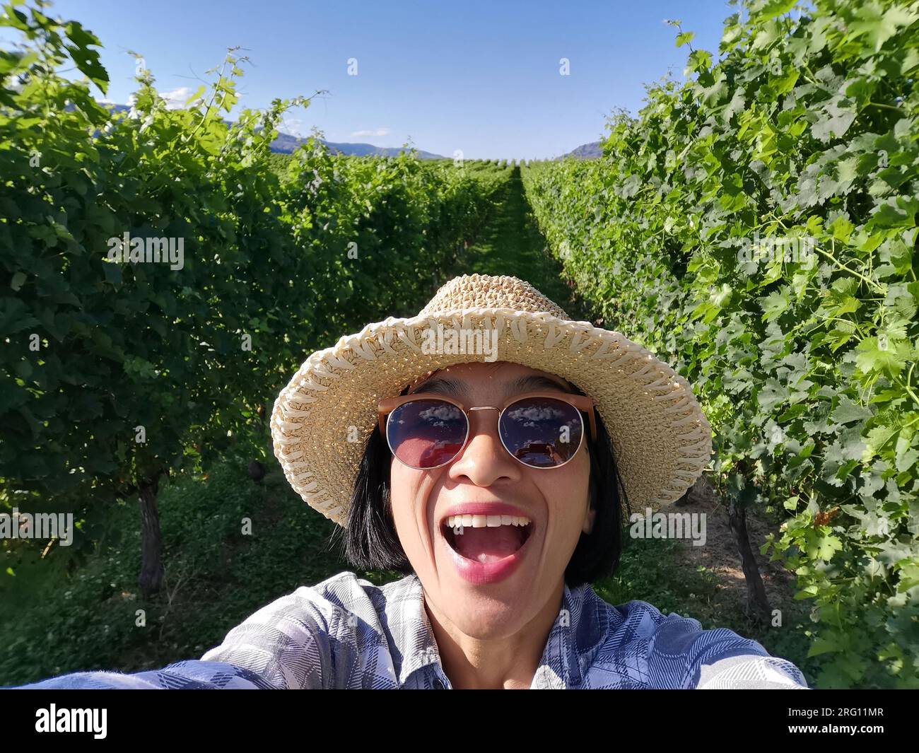 Jeune touriste prenant un selfie dans des vignobles de raisin biologique, vallée de l'Okanagan, Colombie-Britannique. Concept de voyage en plein air d'été au Canada. Banque D'Images