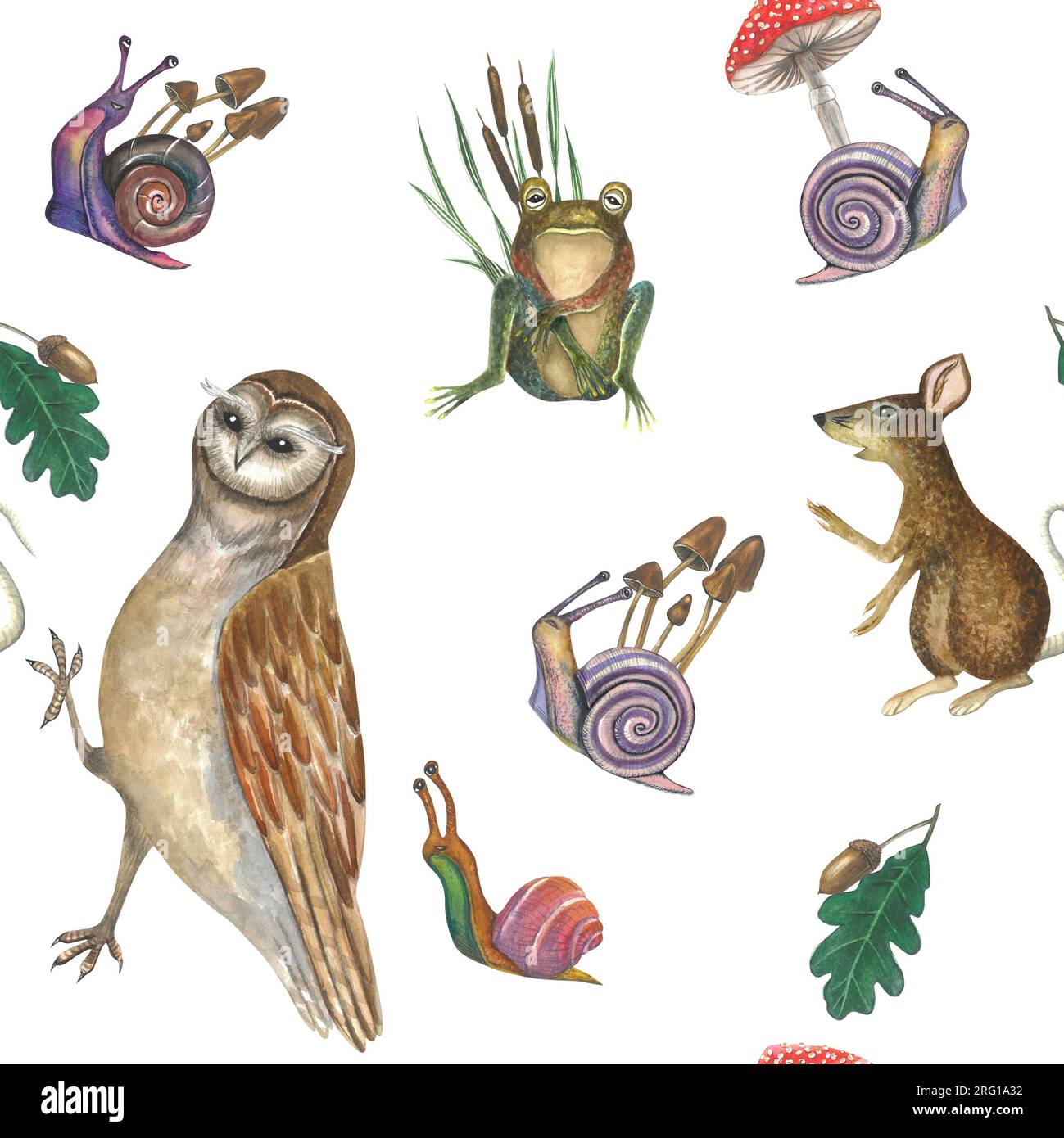 Illustration à l'aquarelle d'un hibou, escargots, champignons vénéneux, cagnotte, rat et grenouille sur fond blanc. Modèle sans couture pour la conception dessinée à la main Banque D'Images