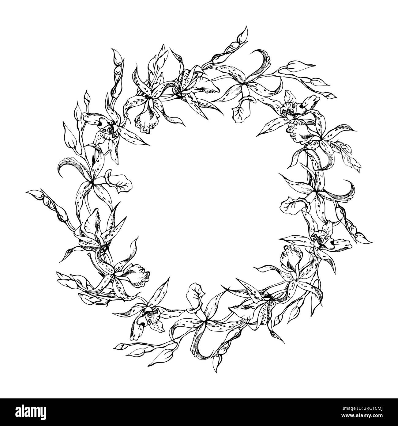 Fleurs et branches d'orchidées à encre vectorielle dessinées à la main, monochrome, contour détaillé. Composition de couronne circulaire. Isolé sur fond blanc. Conception pour Illustration de Vecteur