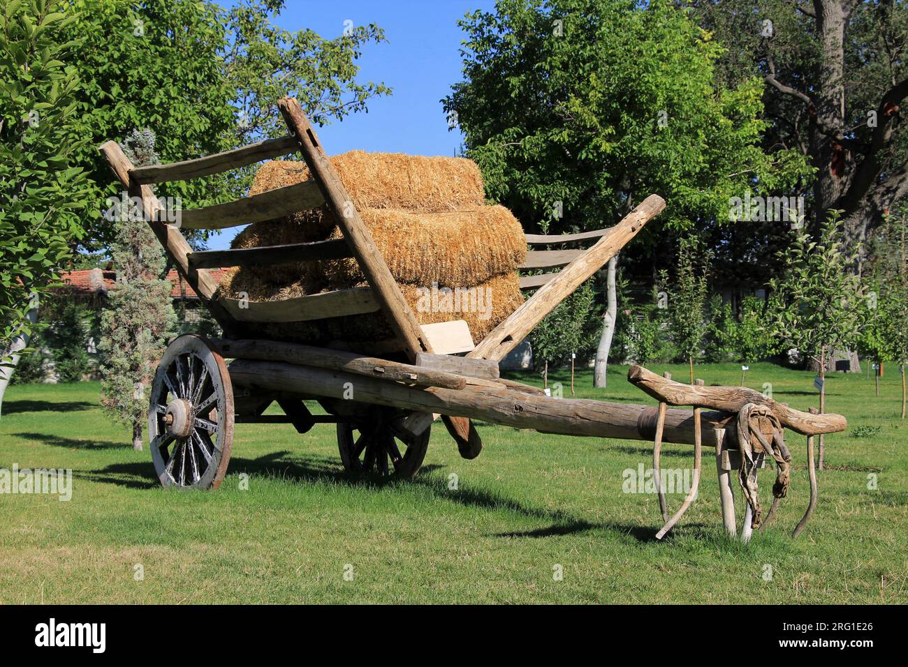 Une vieille charrette chargée de paille dans le jardin. Le chariot à bœufs était un véhicule utilisé pour transporter des charges dans les temps anciens. Banque D'Images