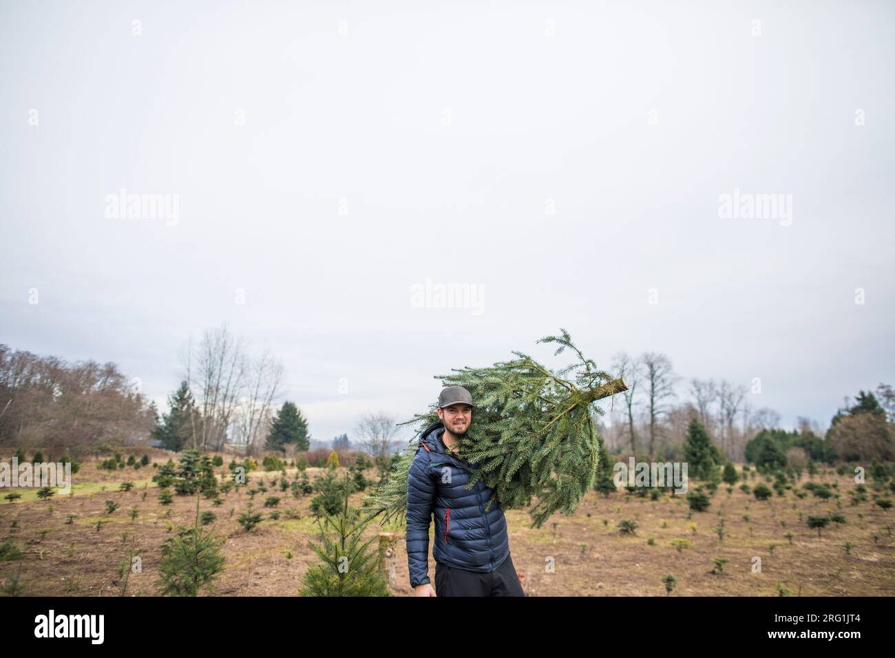 Portrait de l'homme portant l'arbre de Noël à la ferme d'arbres Banque D'Images