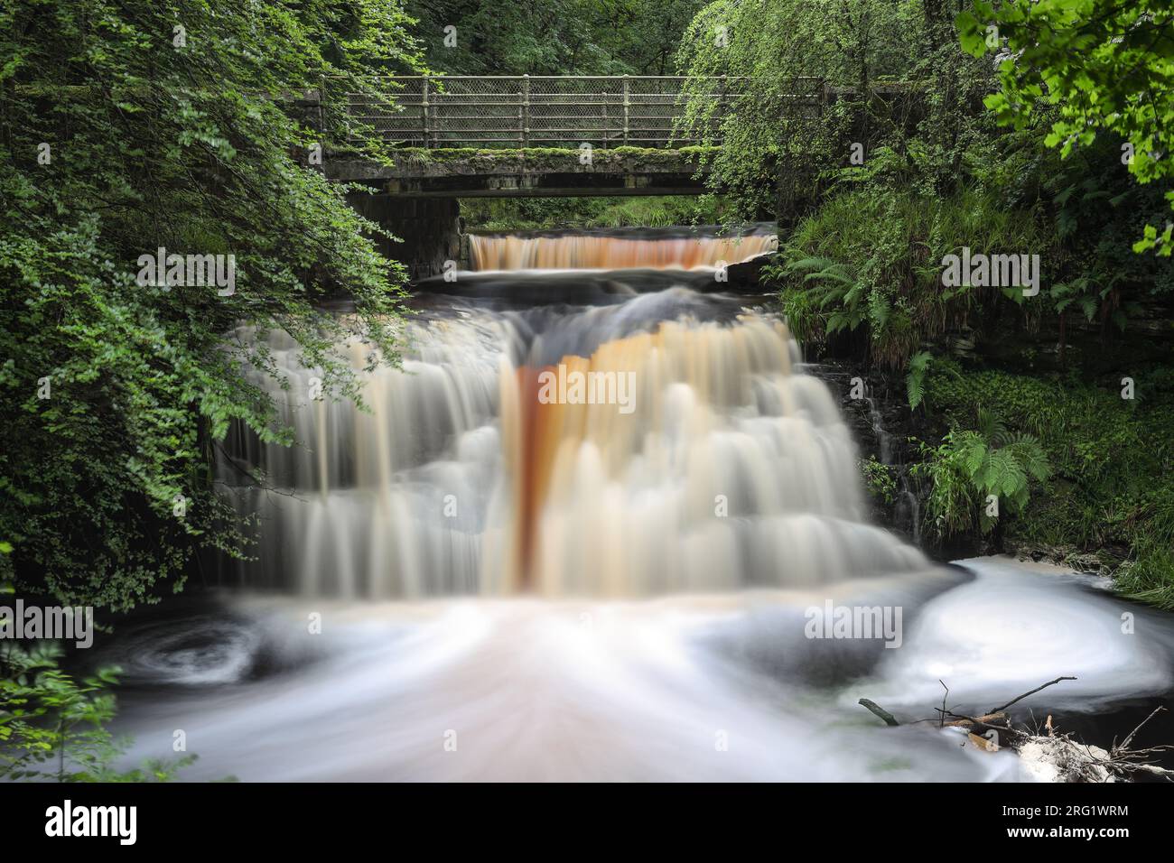 Chute d'eau de Blackling Hole en été, Hamsterley Forest, Teesdale, County Durham, Royaume-Uni Banque D'Images
