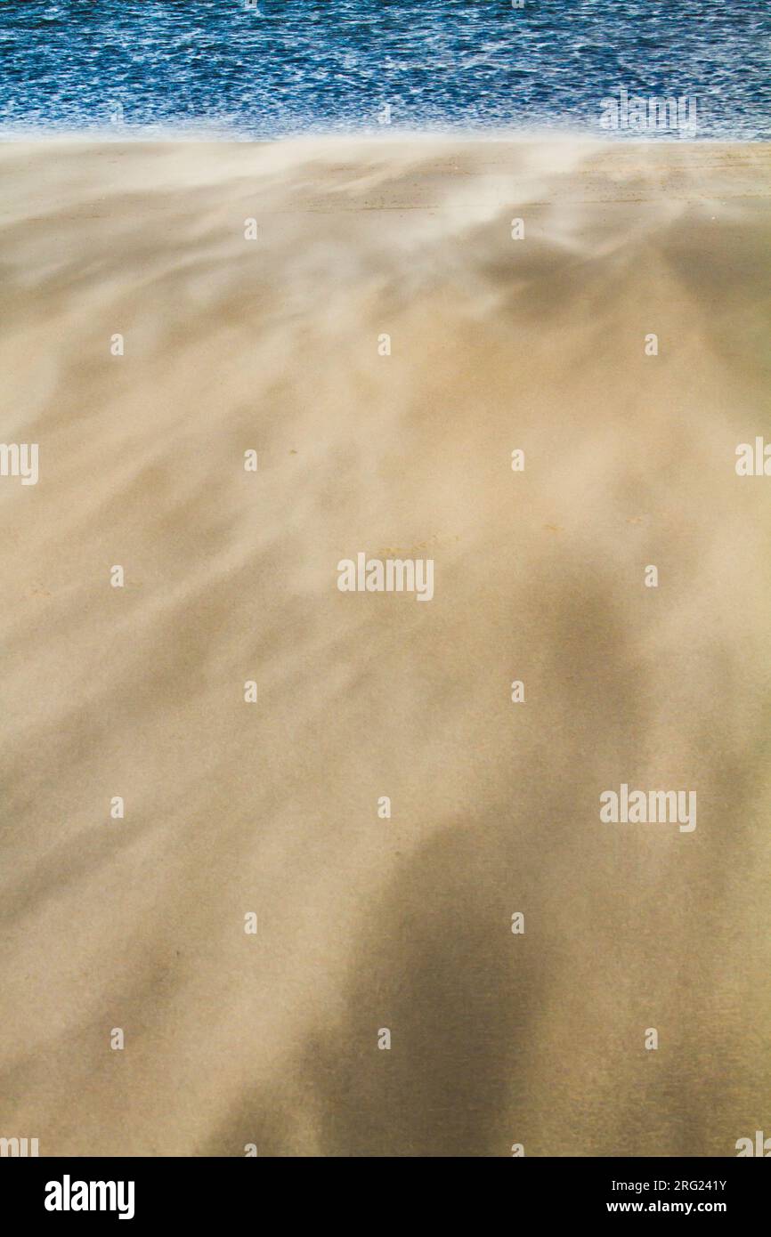 Sable dérivé dans le vent de tempête soufflant sur la plage Banque D'Images