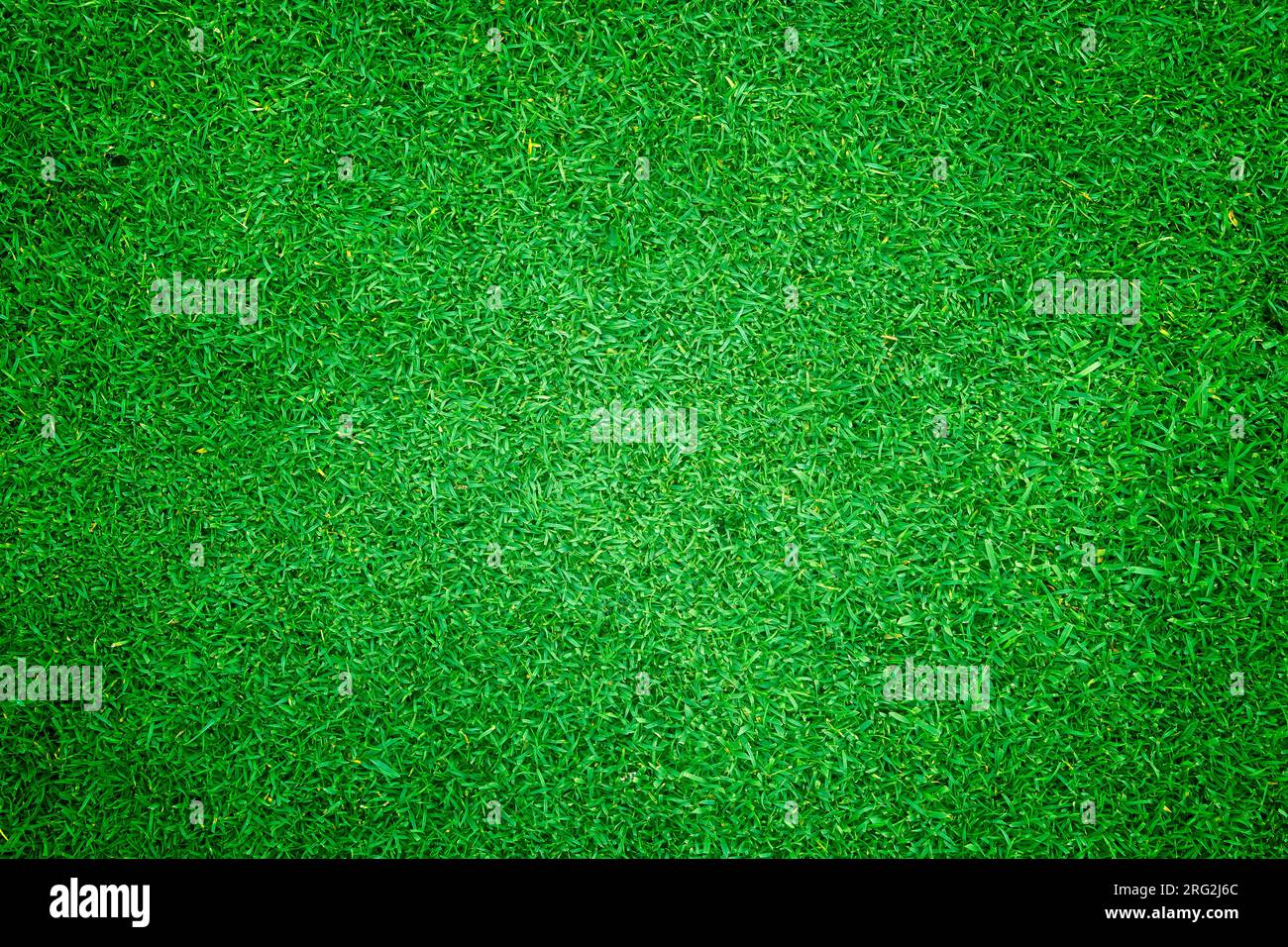 Fond d'herbe verte pelouse abstract surface Banque D'Images