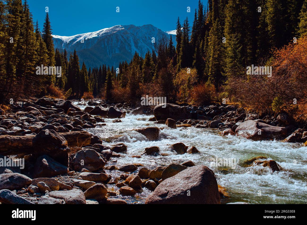Paysage de montagne d'automne avec rivière Banque D'Images