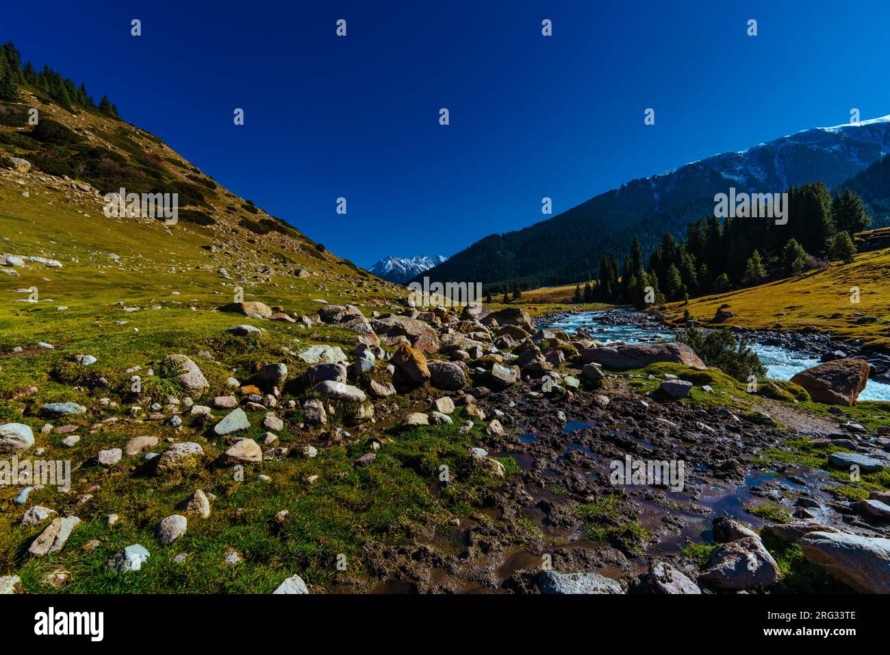 Paysage de vallée d'automne avec rivière de montagne Banque D'Images