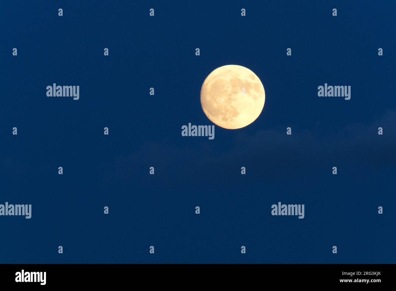 Pleine lune au fond bleu foncé de nuit de ciel. Astronomie astrologie fullmoon concept fond. Espace ouvert. Banque D'Images