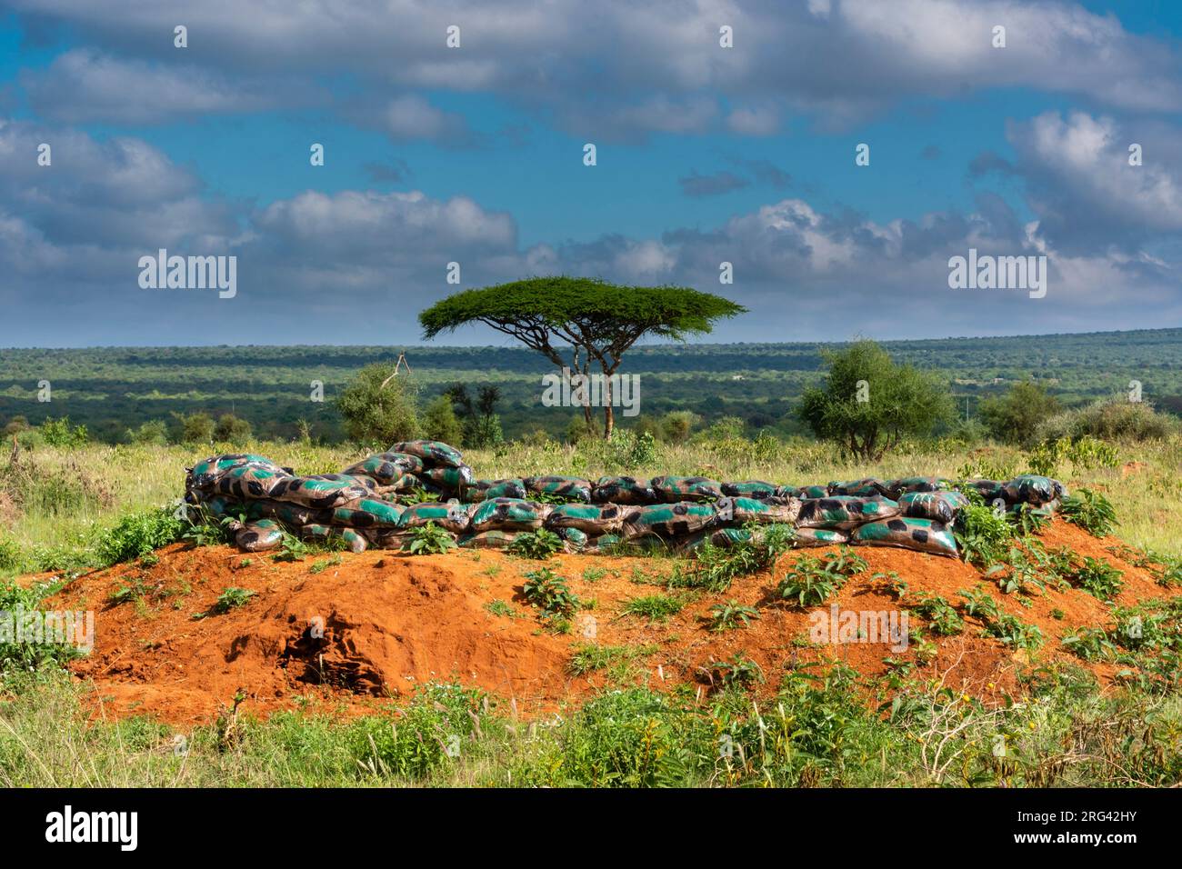 Un mémorial du champ de bataille de Tsavo de la première Guerre mondiale.VOI, Tsavo, Kenya Banque D'Images