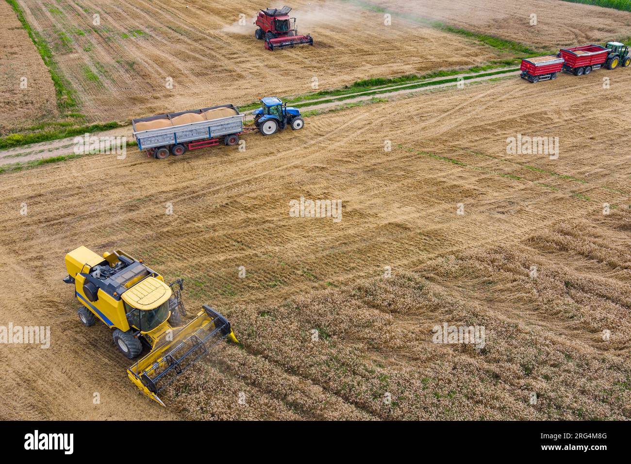 Moissonneuse-batteuse machine agricole récoltant un champ de blé mûr doré. Vue aérienne de l'agriculture Banque D'Images