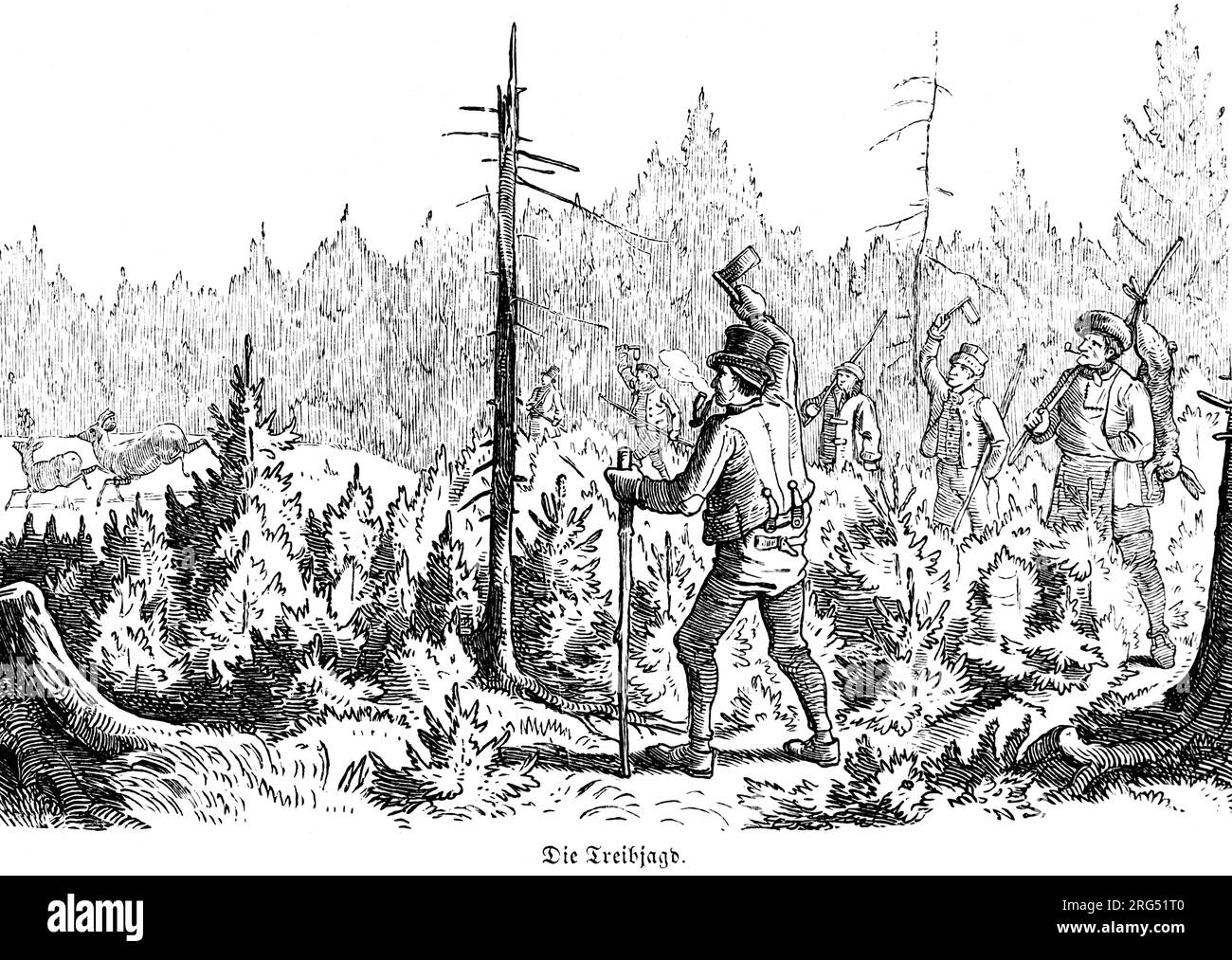 Une chasse au volant, die Treibjagd, animaux sauvages et scènes de chasse,, Illustration historique about1860 Banque D'Images