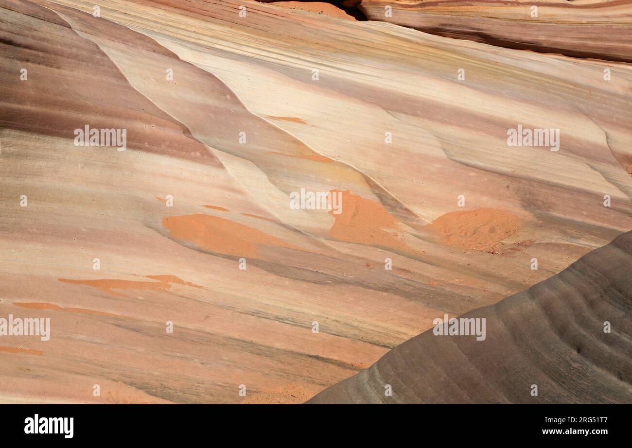 Pink Cliffs - Valley of Fire State Park, Nevada Banque D'Images