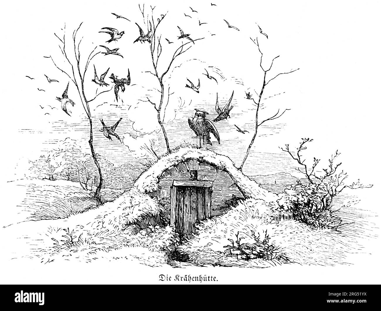 Un meurtre de corbeaux, Krähenhütte, kraehenhuette, animaux sauvages et scènes de chasse,, Illustration historique about1860 Banque D'Images