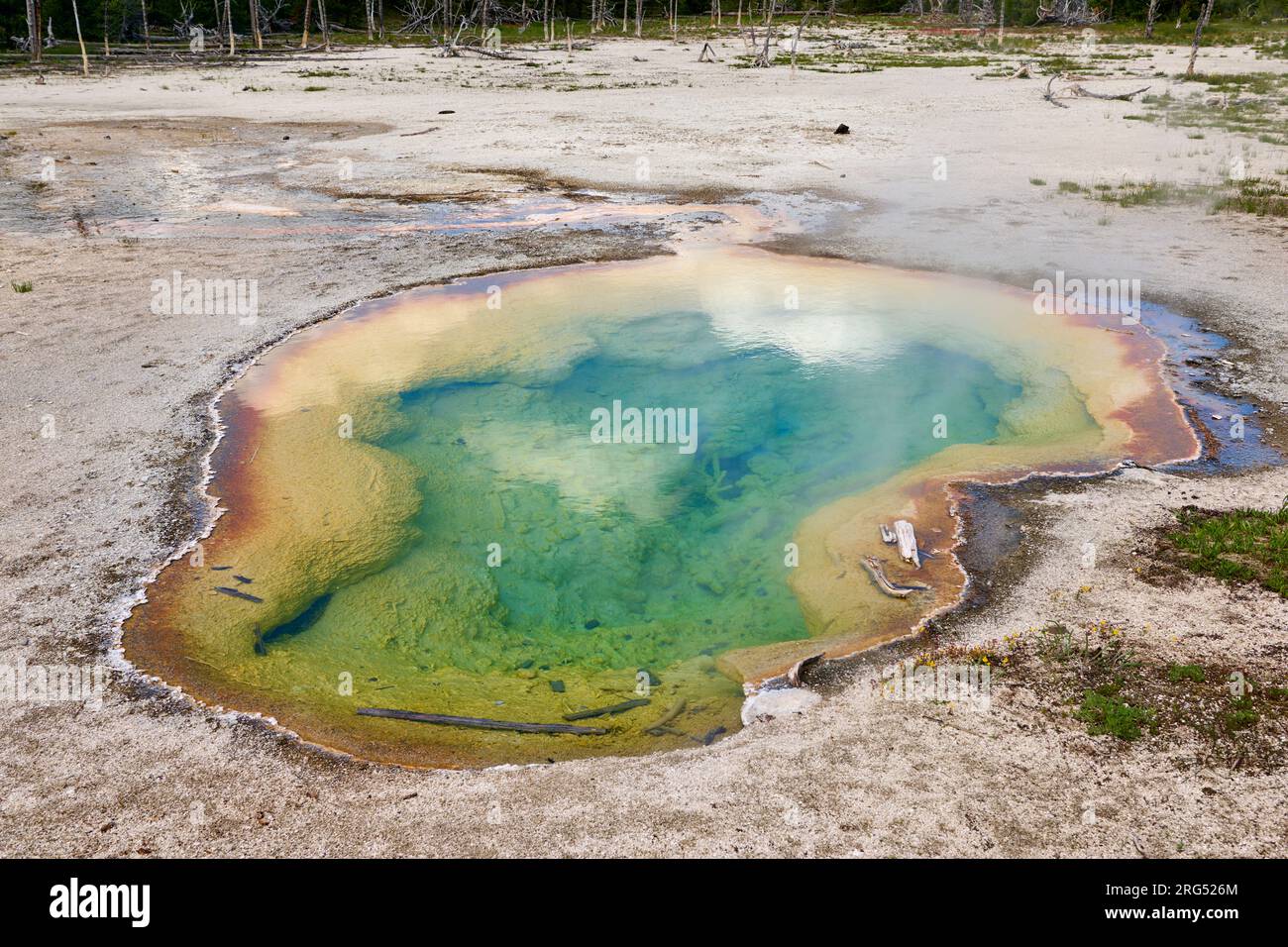 West Geyser, Biscuit Basin, parc national de Yellowstone, Wyoming, États-Unis d'Amérique Banque D'Images