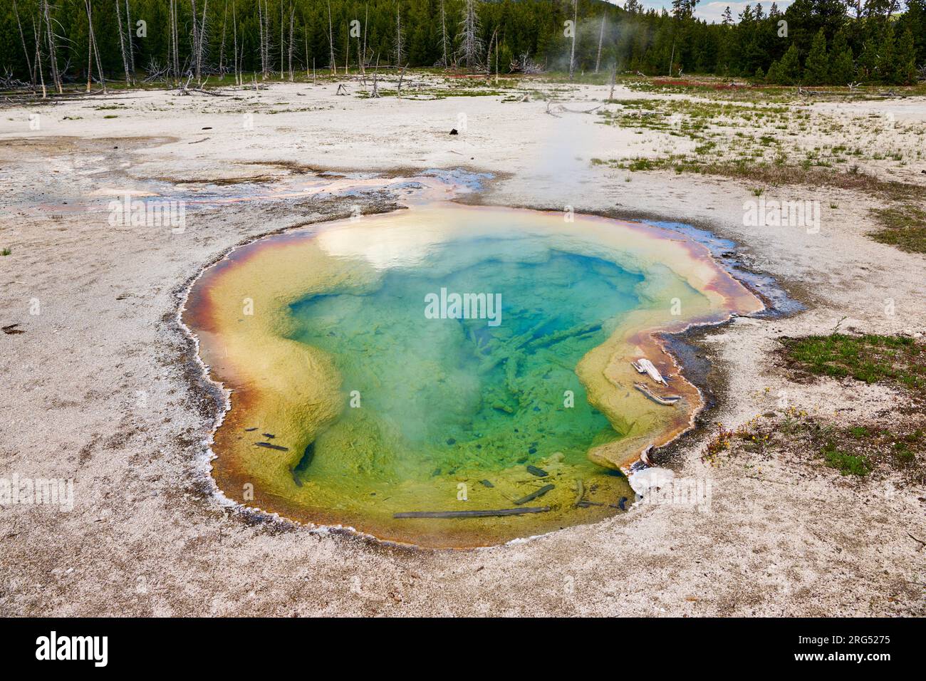 West Geyser, Biscuit Basin, parc national de Yellowstone, Wyoming, États-Unis d'Amérique Banque D'Images