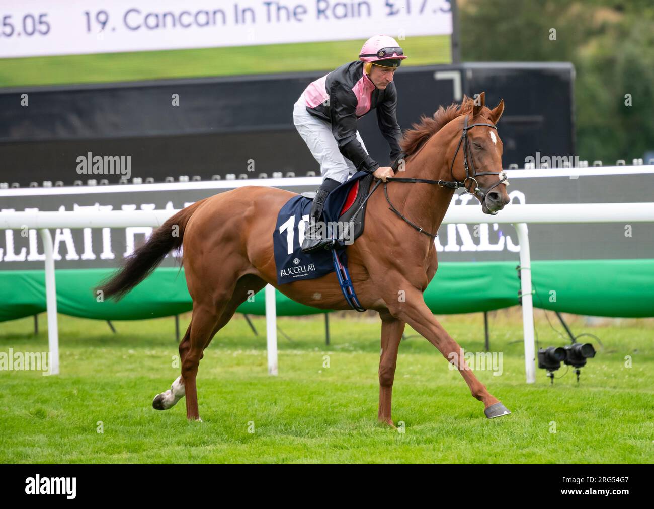 Le jockey John Egan chevauchant Wildfell le jour 3 du Qatar Goodwood Festival Meeting 2023 à Goodwood Racecourse, Chichester Banque D'Images