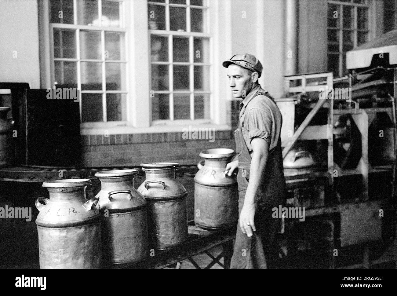 Travailleur exécutant des boîtes de lait à travers la machine de stérilisation, Farmington, Minnesota, USA, Arthur Rothstein, ÉTATS-UNIS Farm Security Administration, septembre 1939 Banque D'Images