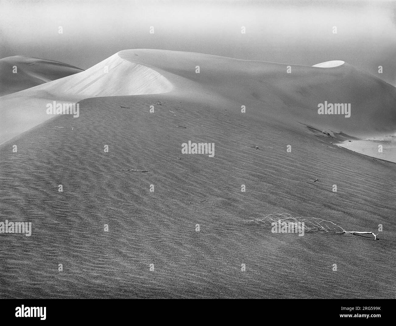 Dune de sable, comté de Nye, Nevada, États-Unis, Arthur Rothstein, ÉTATS-UNIS Office of War information, mars 1940 Banque D'Images