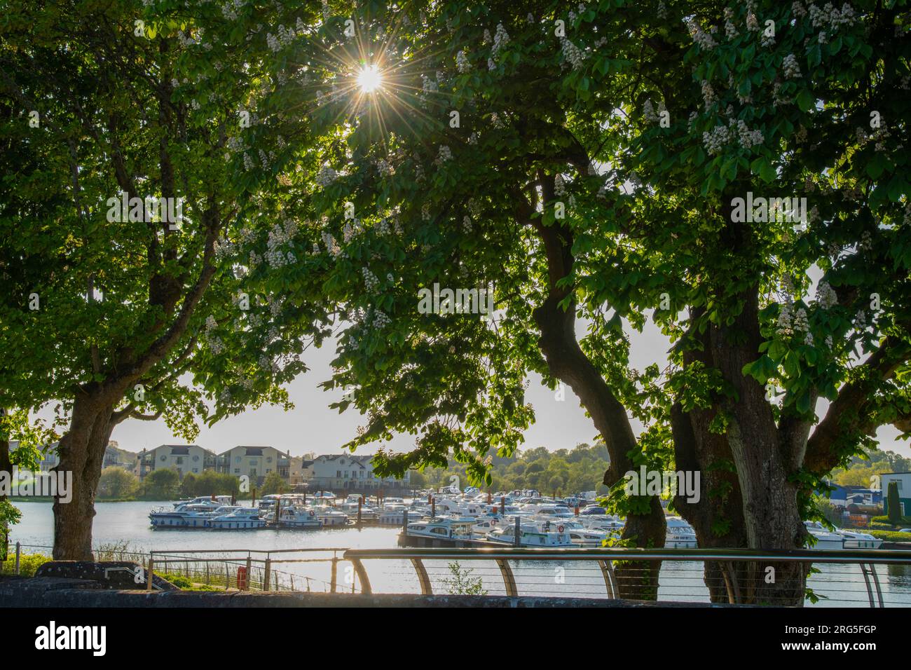 Soirée d'été à Carrick on Shannon, comté de Leitrim, Irlande Banque D'Images