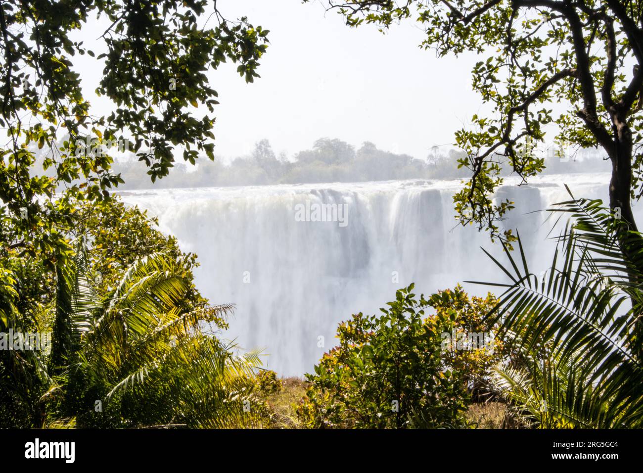 Les chutes Victoria (Mosi-oa-Tunya) Zimbabwe Banque D'Images