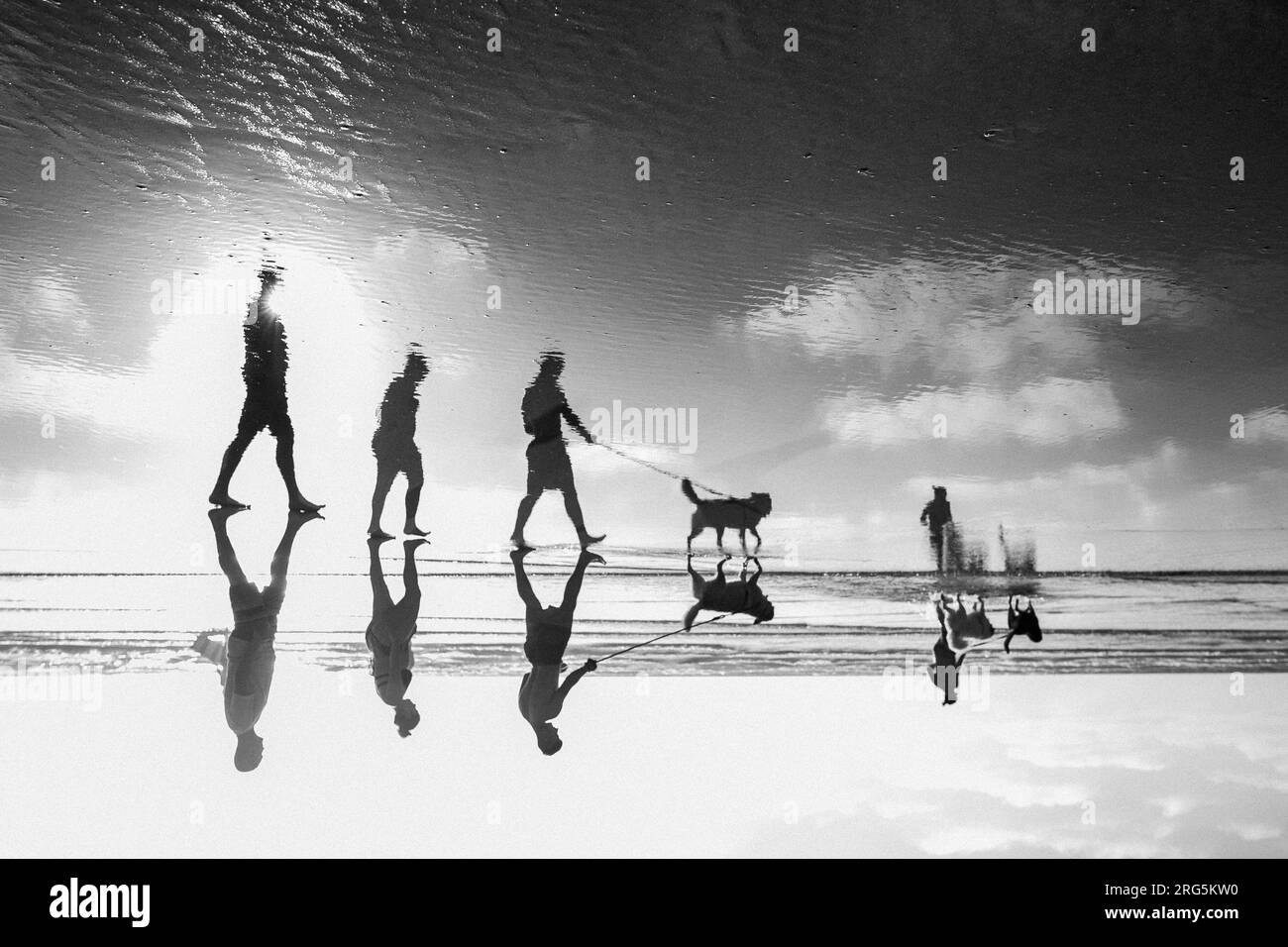 Reflet des gens et des chiens marchant le long de la plage pendant l'heure d'or en Californie Banque D'Images