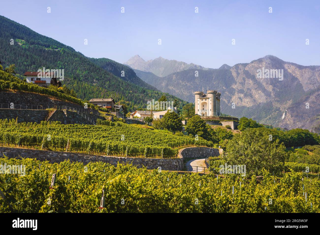 Vignobles en contrebas du château d'Aymavilles. Région de la Vallée d'Aoste, Italie Banque D'Images