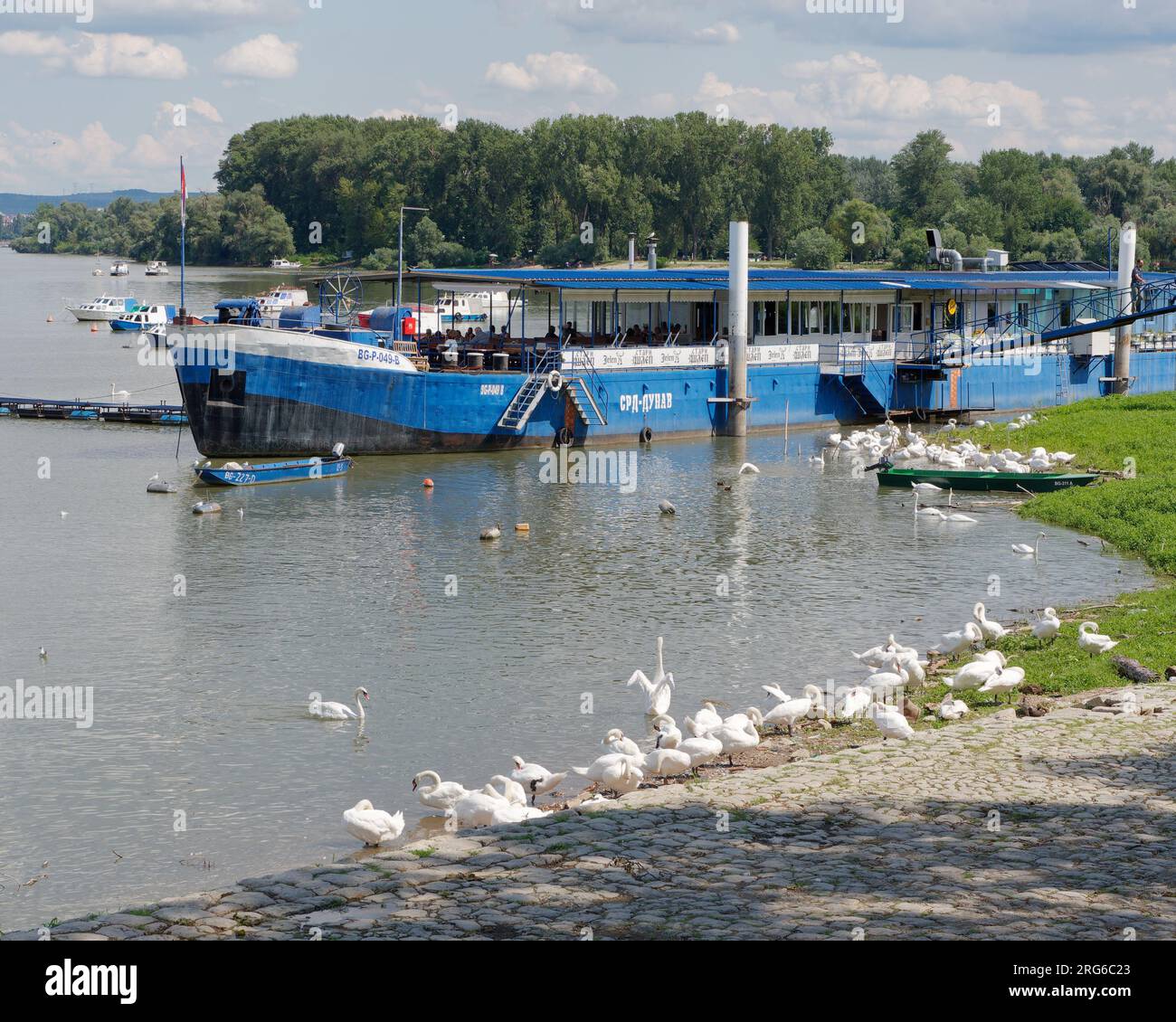 Bateau à passagers bleu sur le Danube dans la ville de Belgrade, Serbie. 07 août 2023. Banque D'Images