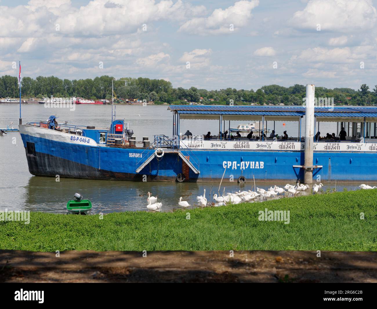 Bateau à passagers bleu sur le Danube dans la ville de Belgrade, Serbie. 07 août 2023. Banque D'Images