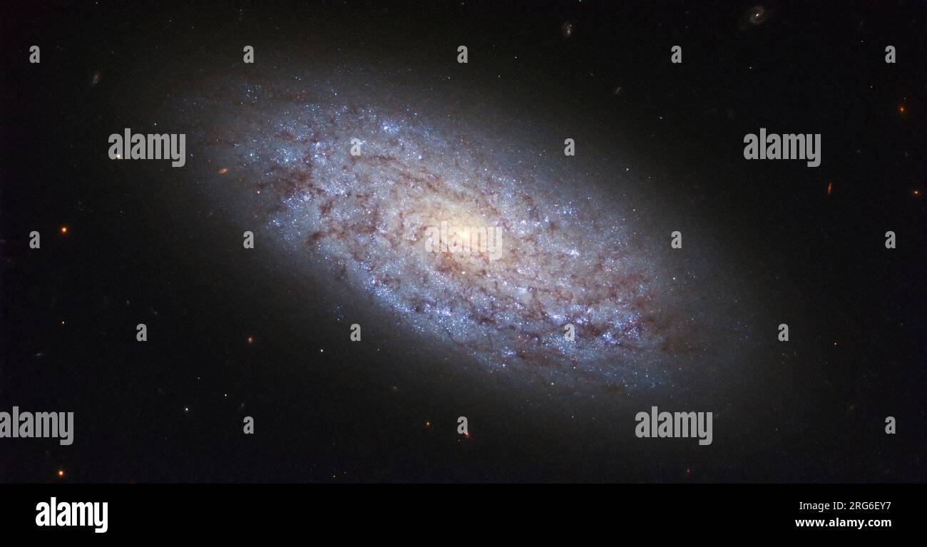 Galaxie naine NGC 5949. Banque D'Images