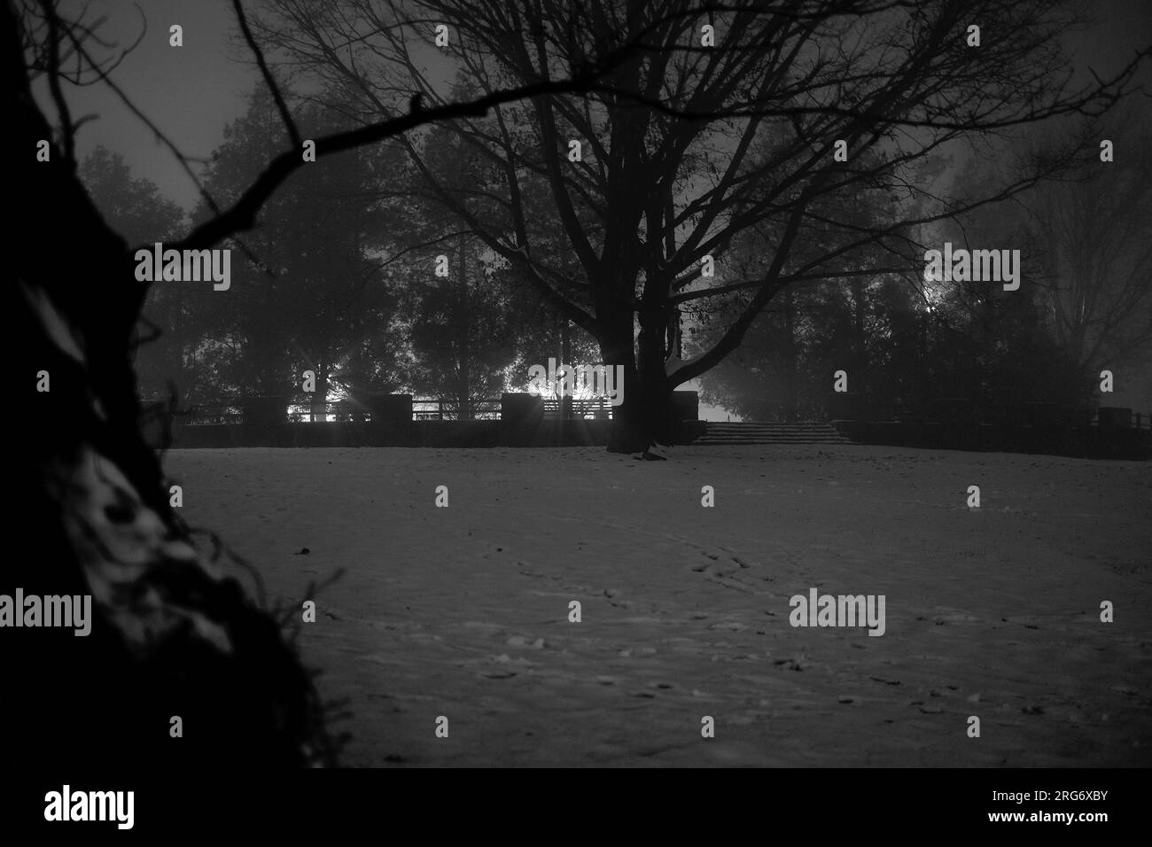 artsy intime regarder de près la vie de la nature avec levers et couchers de soleil dans un parc de la ville avec des saisons changeantes de l'été à la neige dans un cadre n & b Banque D'Images