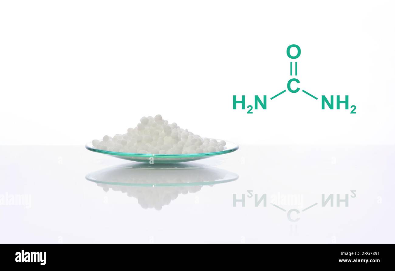 Carbamide en verre de montre chimique avec structure moléculaire. Ingrédient chimique utilisé dans les questions médicales et de santé publique. Banque D'Images