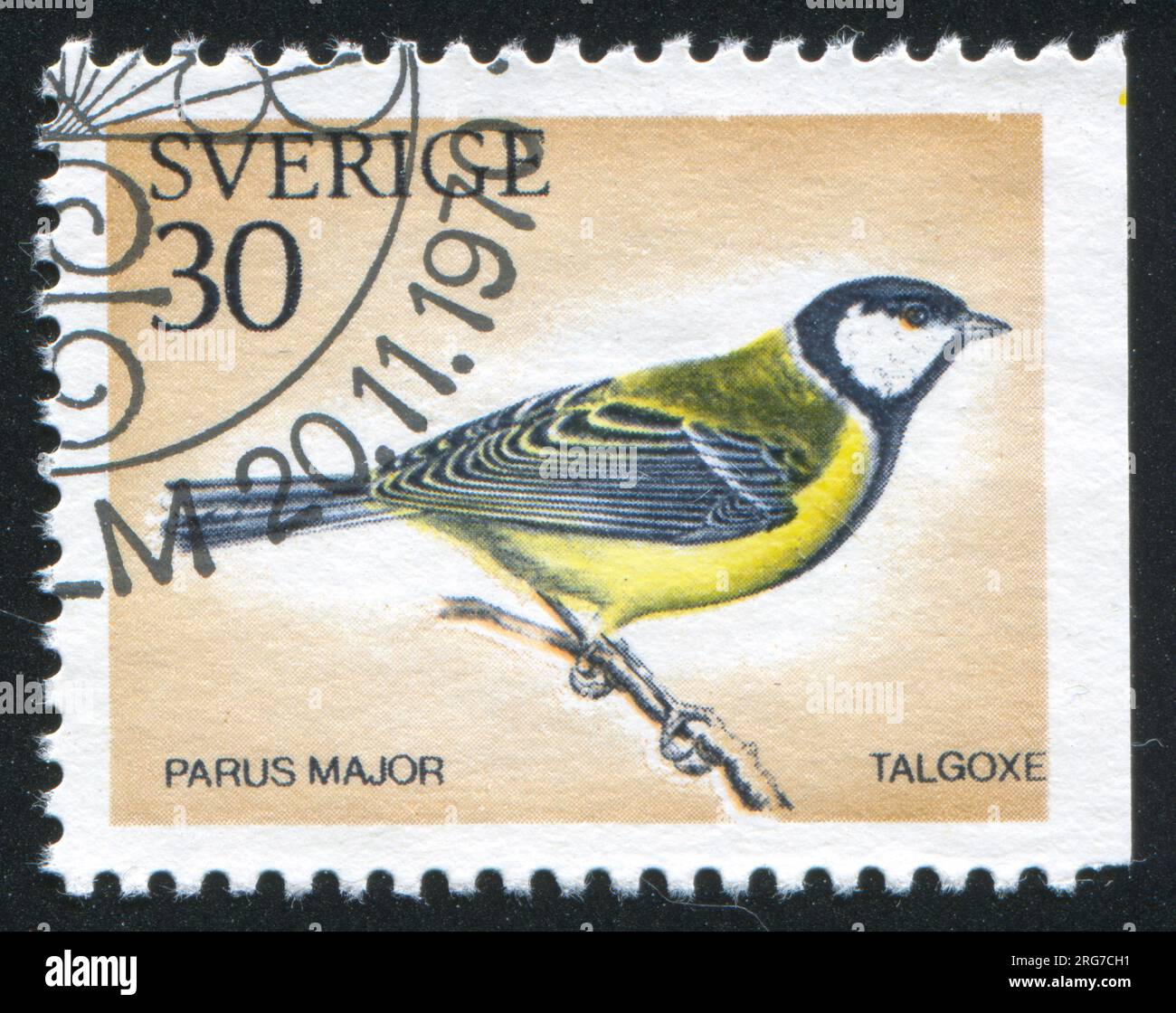 SUÈDE - CIRCA 1970 : timbre imprimé par la Suède, montre Great titmouse, circa 1970 Banque D'Images