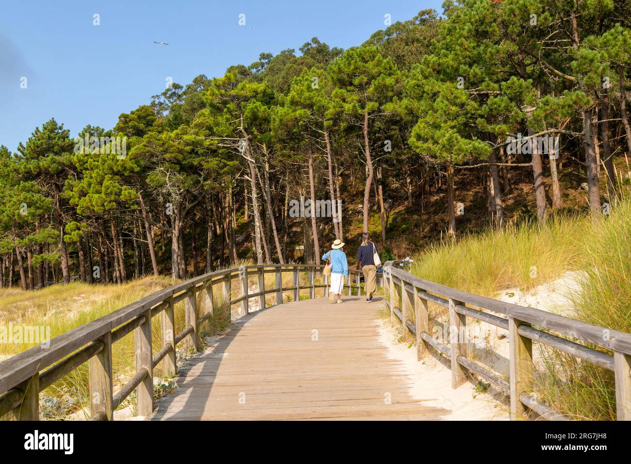 Les gens marchent sur la promenade en bois, îles Cies, îles Atlantiques Galice Maritime Terrestrial National Park Banque D'Images