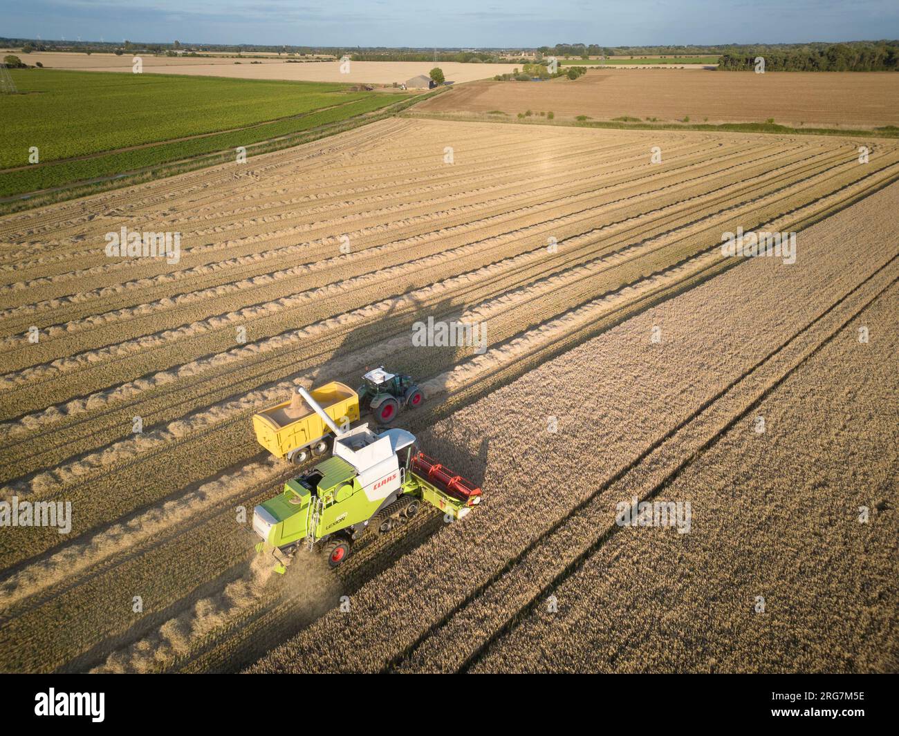 Langtoft, Lincolnshire, Royaume-Uni. 7 août 2023 UK Météo. Les agriculteurs profitent d'une pause dans le temps et récoltent de l'orge sous le soleil de fin de soirée dans le Lincolnshire crédit photo : Tim Scrivener/Alamy Live News Banque D'Images