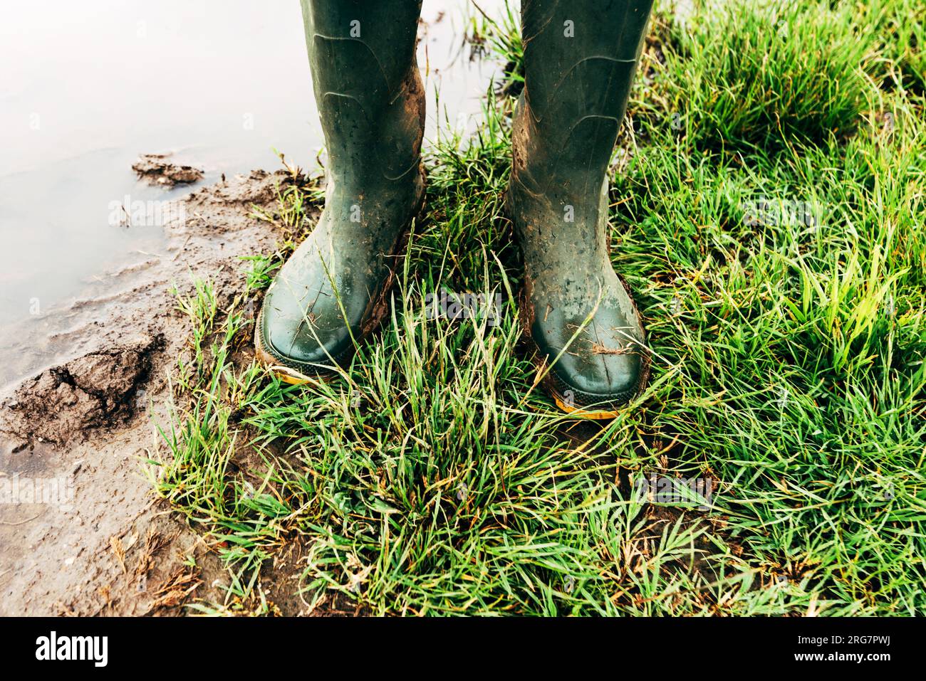 Agriculteur dans des bottes en caoutchouc debout dans le champ après une tempête de pluie sévère sur la plantation inondée, focalisation sélective Banque D'Images