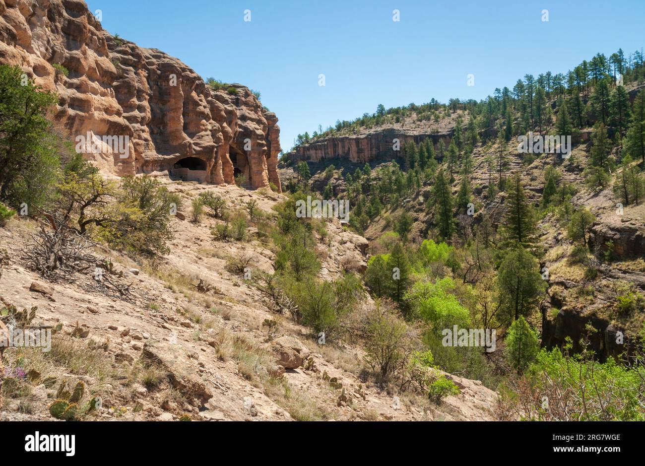 Gila Cliff Dwellings National Monument au Nouveau-Mexique Banque D'Images