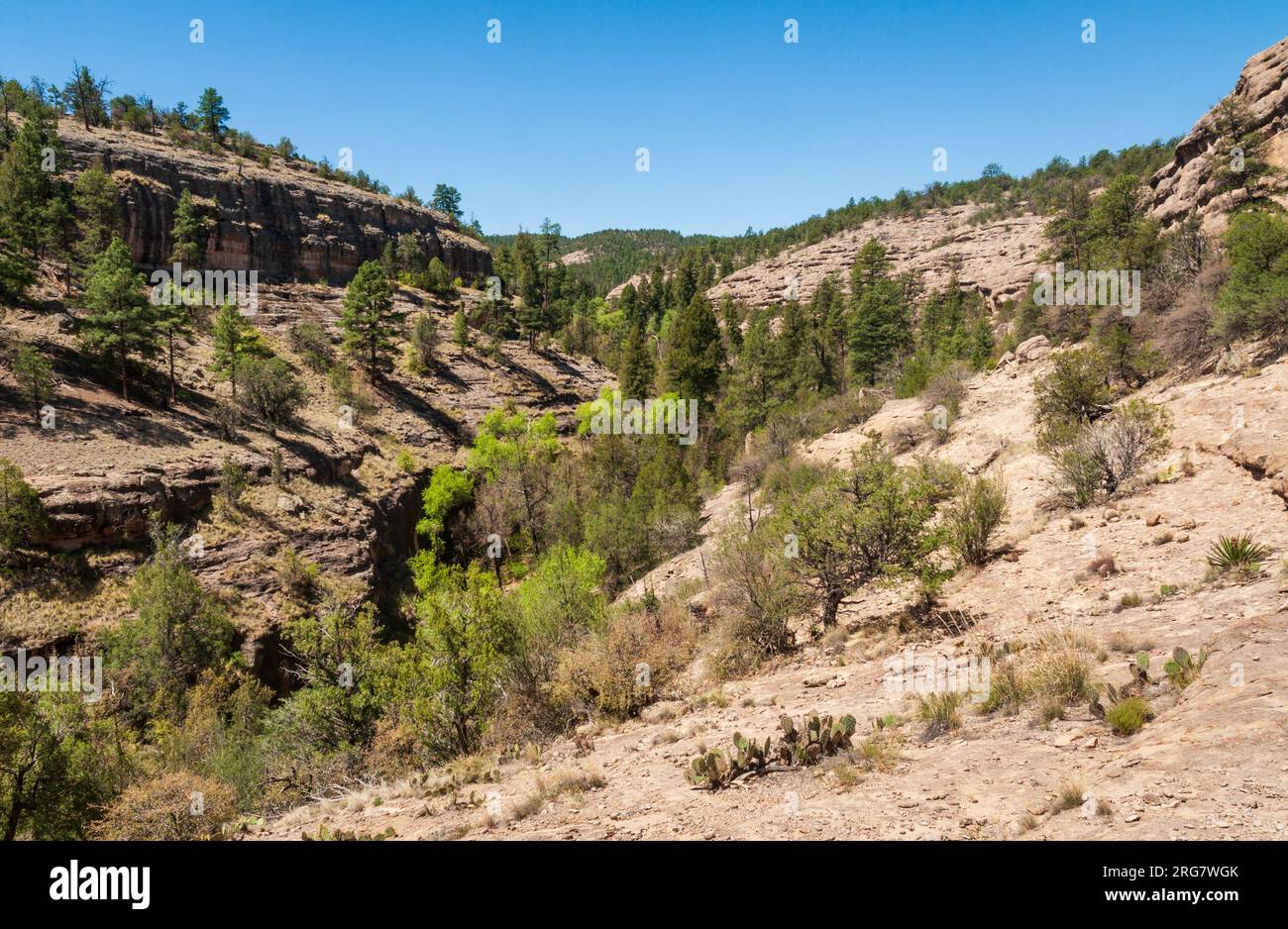 Gila Cliff Dwellings National Monument au Nouveau-Mexique Banque D'Images