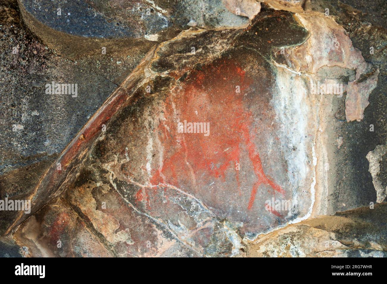 Gila Cliff Dwellings National Monument au Nouveau-Mexique Banque D'Images
