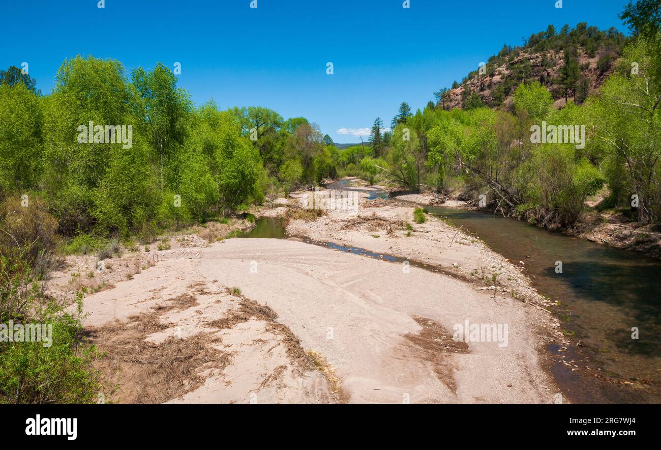 Gila Cliff Dwellings National Monument au Nouveau-Mexique Banque D'Images