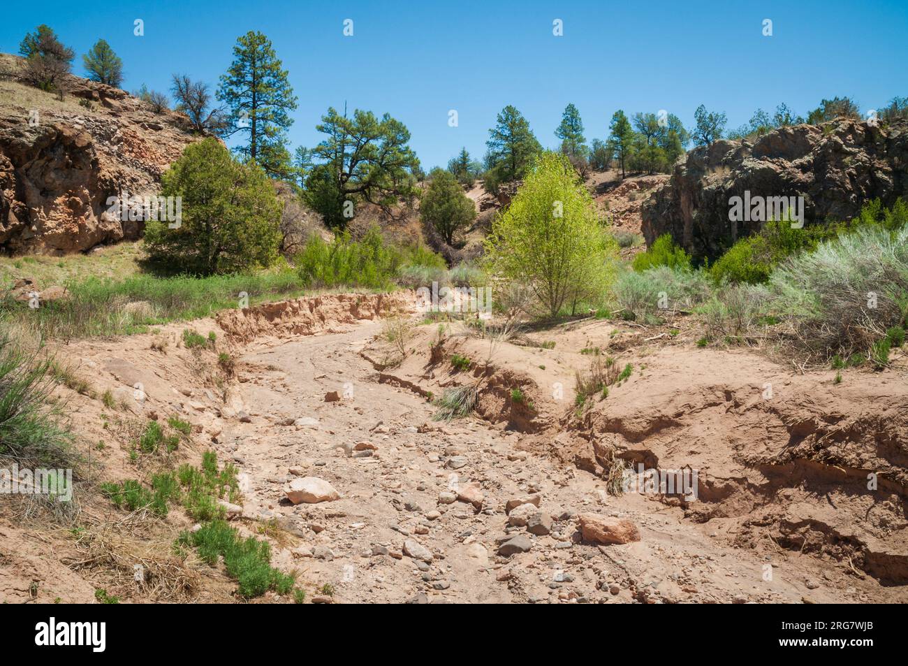Gila Cliff Dwellings National Monument au Nouveau-Mexique Banque D'Images
