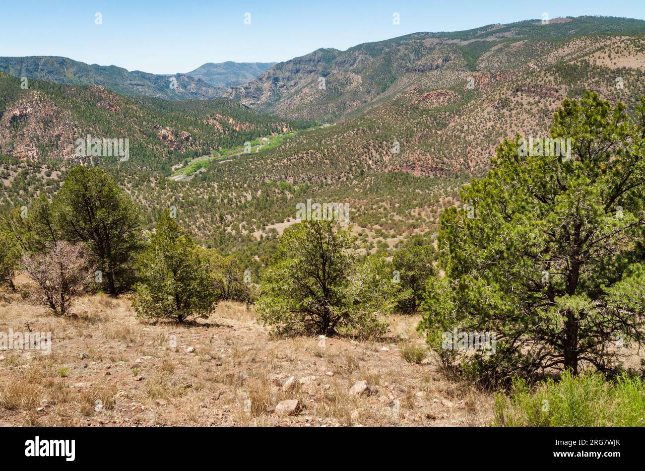 Gila Cliff Dwellings National Monument au Nouveau-Mexique Banque D'Images
