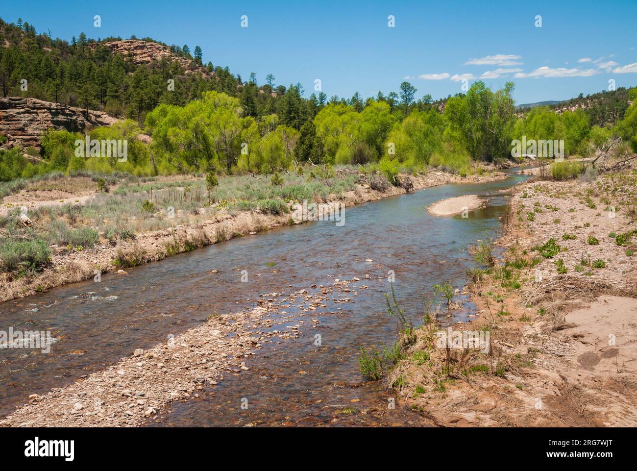 Gila Cliff Dwellings National Monument au Nouveau-Mexique Banque D'Images