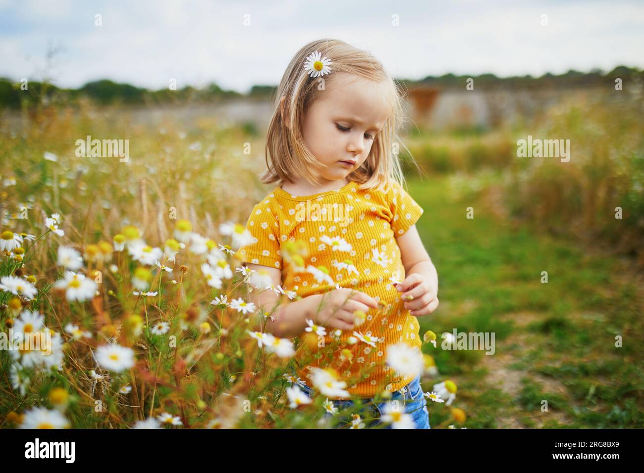Adorable fille d'enfant d'âge préscolaire au milieu de l'herbe verte et de belles marguerites sur un jour d'été. Petit enfant avec décoration de cheveux de camomille s'amusant à l'extérieur. K Banque D'Images