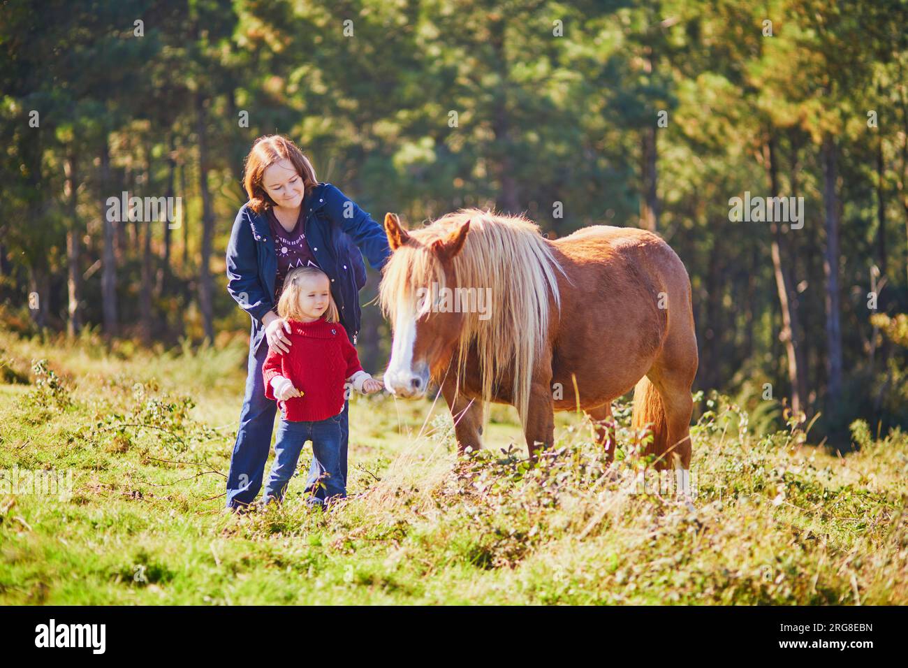 Jeune femme et fille de 3 ans caressant un cheval sur le pâturage. Mère et fille explorant la nature. Activités de plein air pour les enfants Banque D'Images