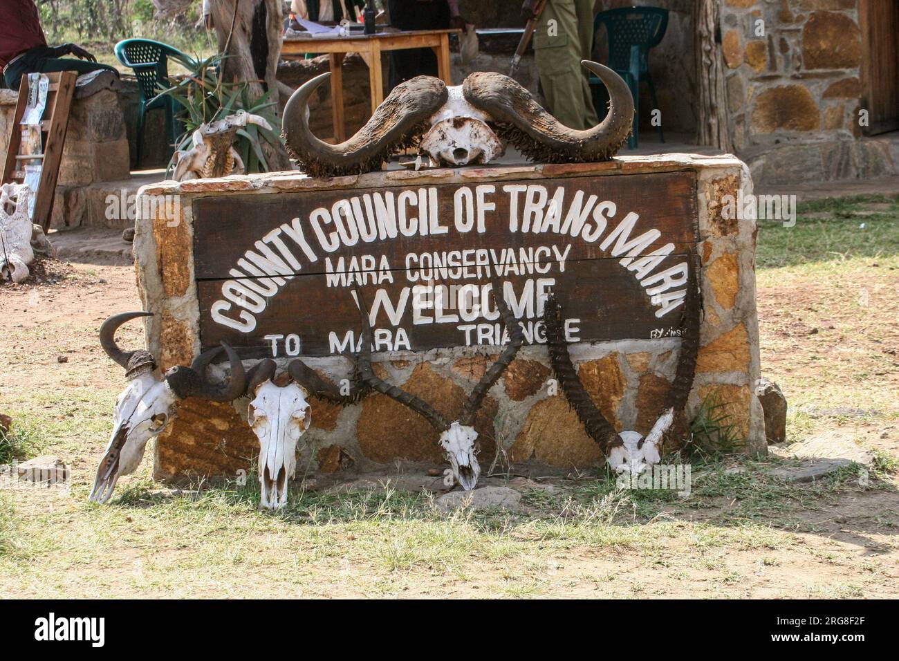 Panneau et crânes d'animaux au Masai Mara Conservancy, Kenya Safari Lodge. Banque D'Images