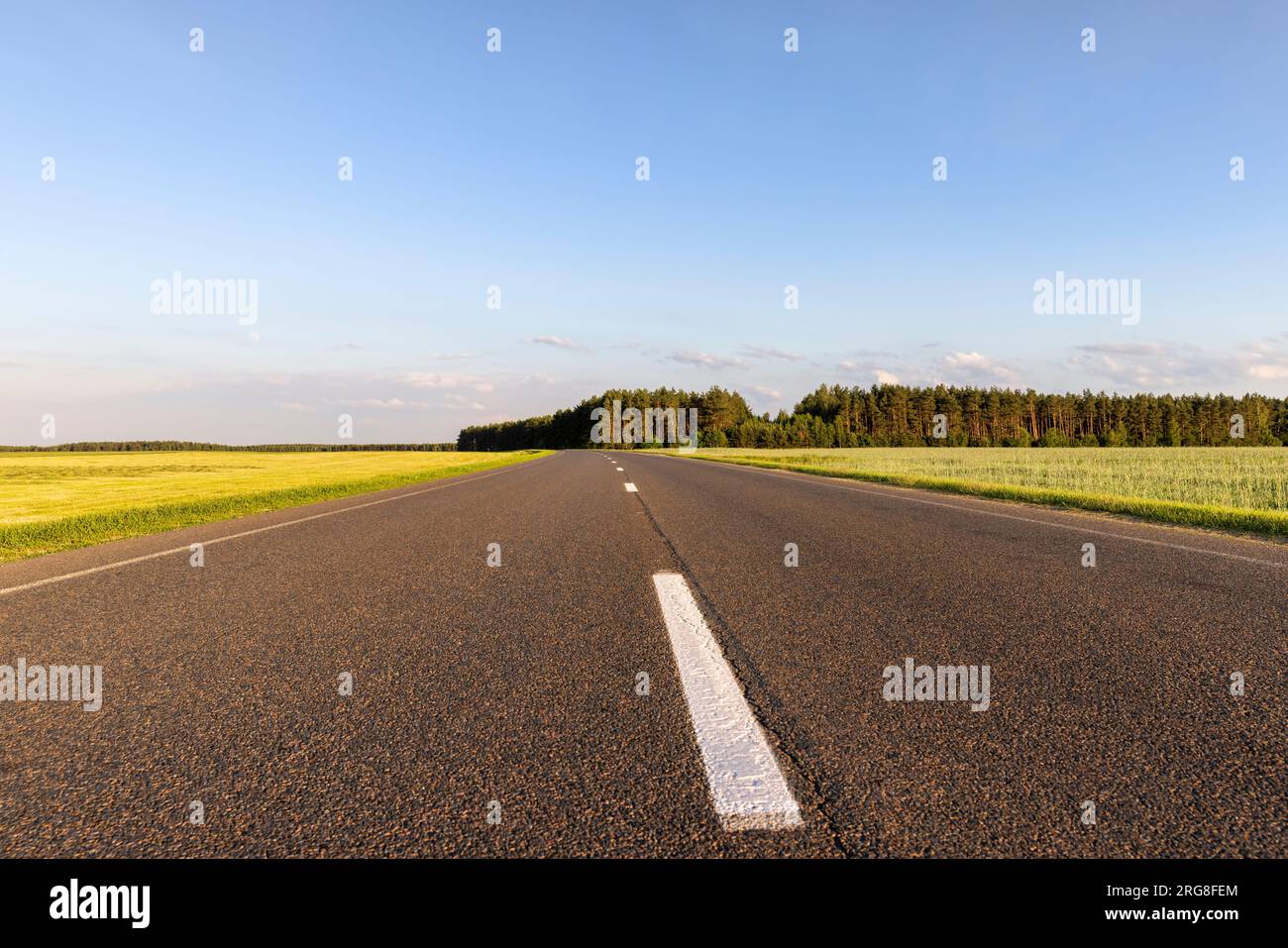 route pavée pour la circulation automobile, route pour véhicules Banque D'Images